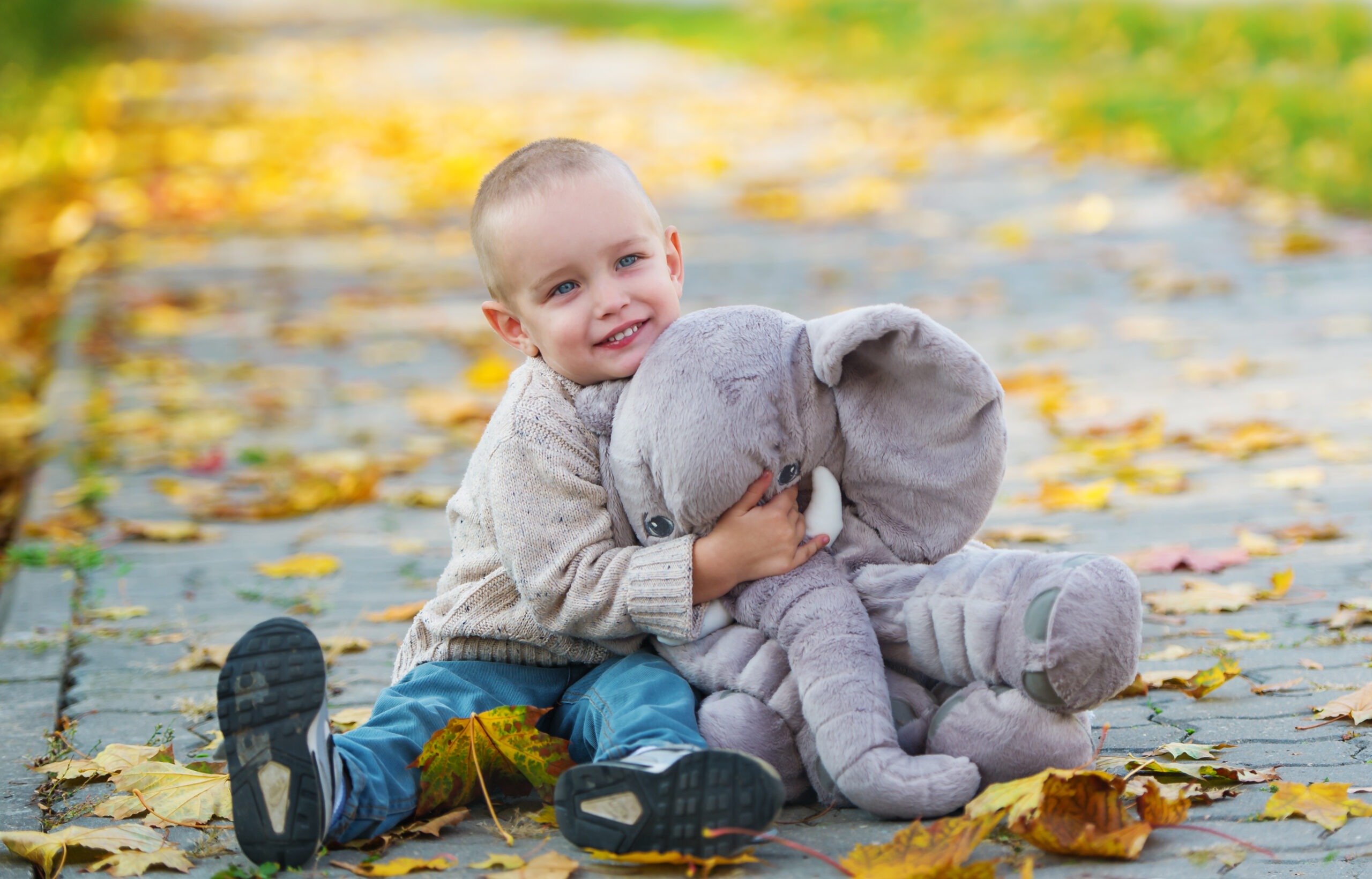 Read more about the article Fall-Themed Sensory Play for Children with Autism: Engaging the Senses and Learning with the Season